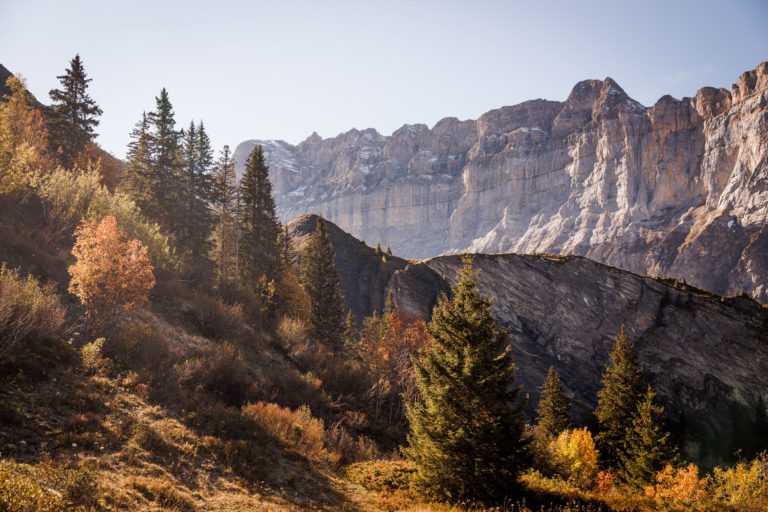 fiz-anterne-sixt-haut-giffre