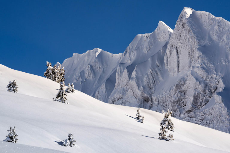 Pentes immacul&eacute;es et sapins enneig&eacute;s au pied des Dents d&rsquo;Oddaz recouvertes de givre, vus depuis la T&ecirc;te de Bostan dans le massif du Haut-Giffre, Samo&euml;ns (Haute-Savoie)