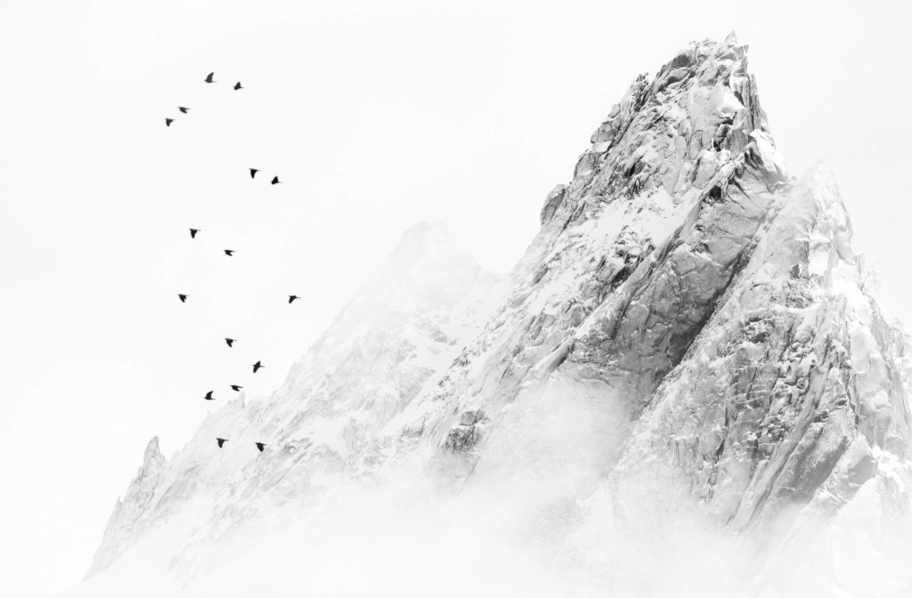 Liberté Palombes devant l’Aiguille de Blaitière massif du Mont-Blanc noir et blanc – photo Alexandre Deschaumes
