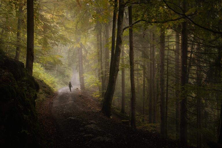 foret-silhouette-mystique-hautgiffre