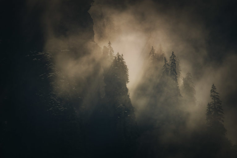 mystique-foret-falaise-sixt-fer-a-cheval-brume