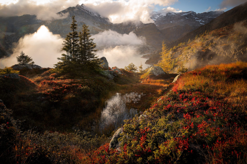 Féérie automnale à Émosson Ambiance automnale au-dessus du lac d’Émosson, Valais suisse, avec myrtilliers rouges, Tenneverge et Pointe de la Finive dans le massif du Haut Giffre