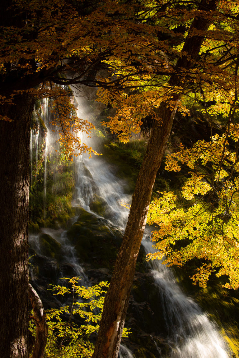 cascade-argentine-lago-disierto-patagonie-automne