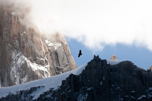 patagonie-condor-fitz-roy-argentine