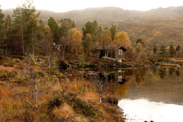 Cabane forestière près d’Andervatnet – Anderdalen, Senja Cabane forestière au bord d’un plan d’eau dans la vallée d’Anderdalen, près d’Andervatnet, à Senja