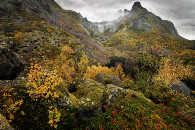 Versant granitique et végétation boréale – Stjernhauet, Lofoten Versant granitique et végétation boréale dense sur les pentes du Stjernhauet, au-dessus de Nusfjord, dans les Lofoten, Norvège