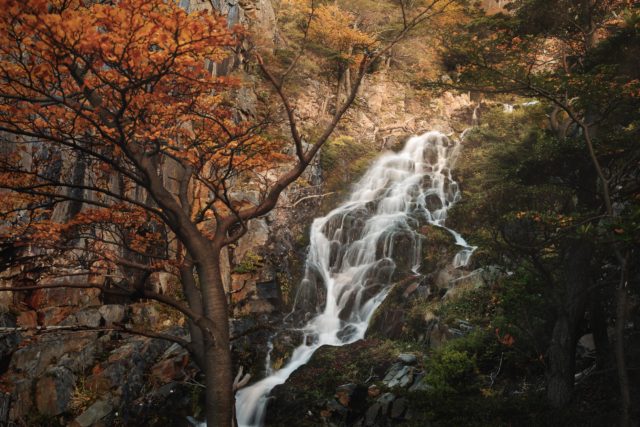 cascade patagonie automne foret