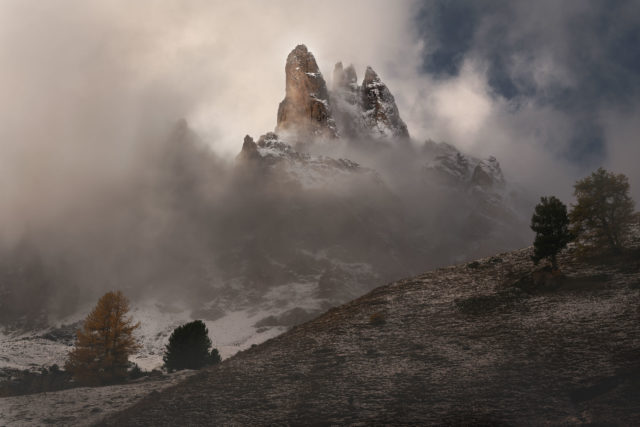 Main de Cr&eacute;pin dans la brume en Vall&eacute;e de la Clar&eacute;e, Hautes-Alpes