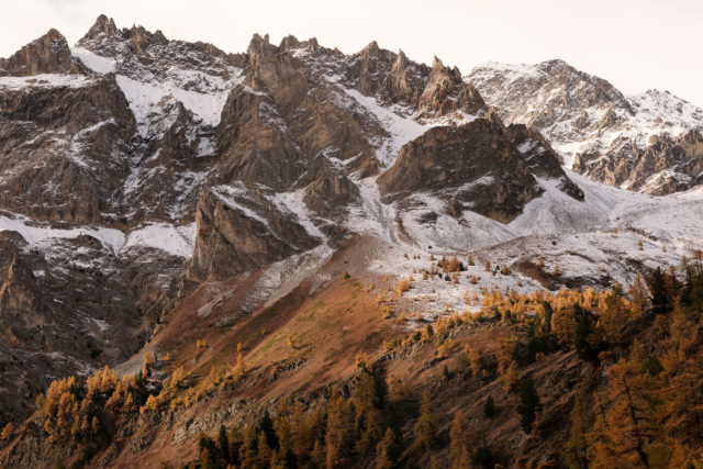 M&eacute;l&egrave;zes dor&eacute;s et premi&egrave;res neiges dans le vallon de Tavernette, cha&icirc;non du Thabor, Hautes-Alpes