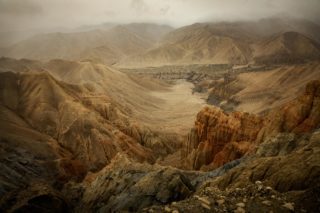 mustang-dakhmar-sable