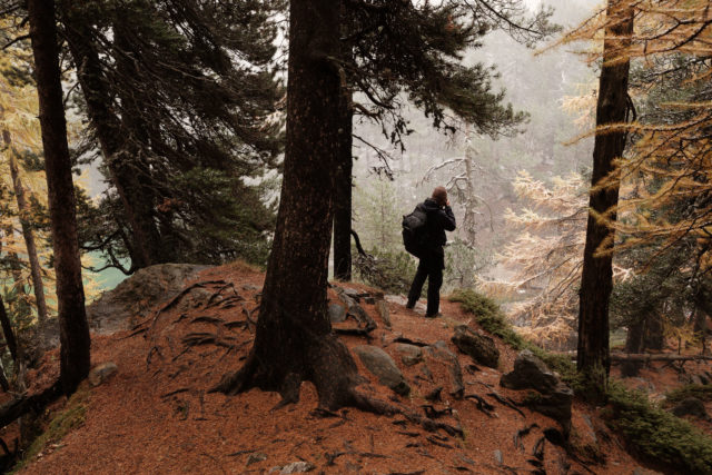 Photographe dans une for&ecirc;t enneig&eacute;e pr&egrave;s du Lago Verde, Vall&eacute;e &Eacute;troite, Hautes-Alpes