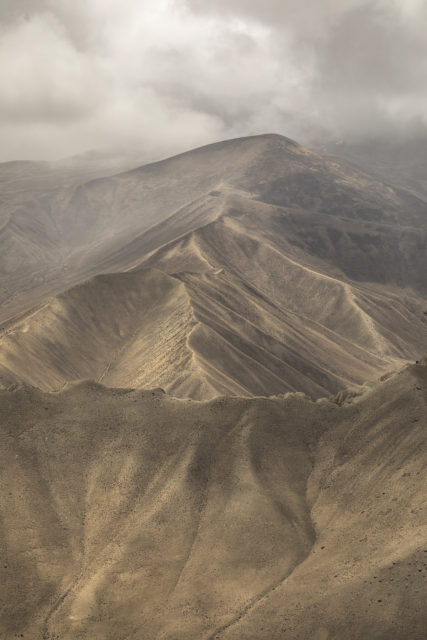 desertique-mustang-texture-verticale-beige