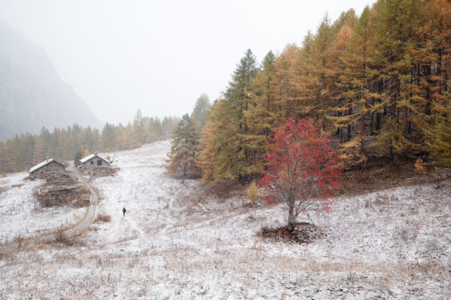 Premi&egrave;res neiges en Vall&eacute;e &Eacute;troite