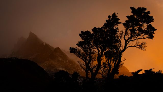 silhouette arbre patagonie refugio los cuernos