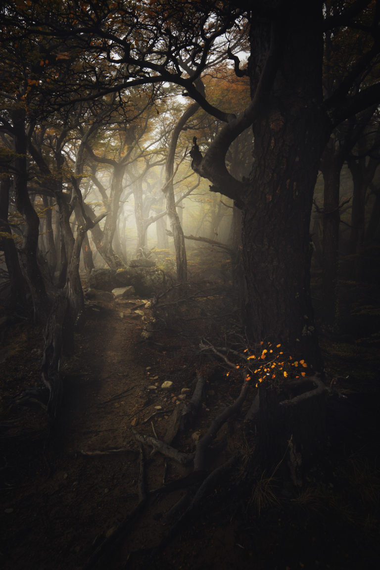 vallée des français brume automne vertical patagonie