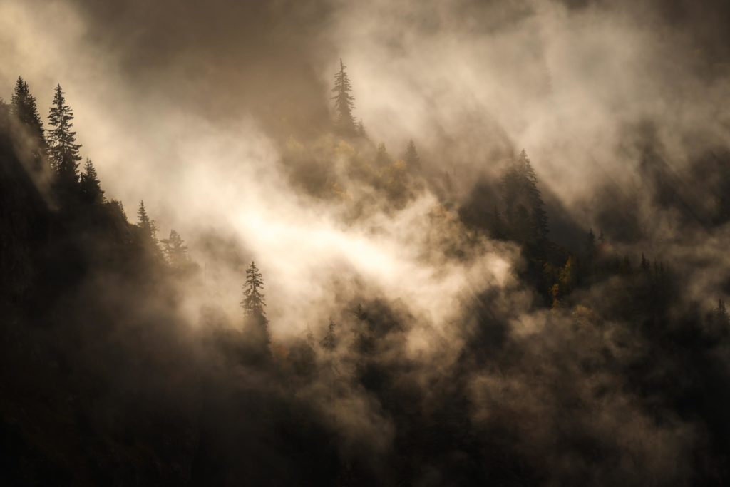 Intimité avec soi-même | immensités à Explorer Brume mystique et percée de lumière sur les forêts profondes du massif de Pormenaz, Haute-Savoie, automne 2021. Photographie d’Alexandre Deschaumes.