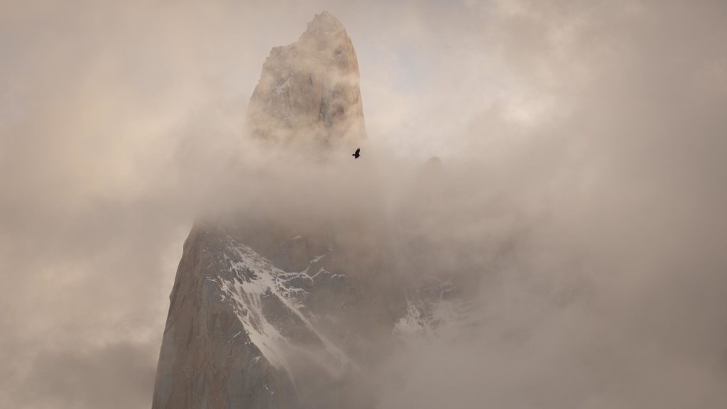 AD__2961-condor-poincenot-alexandre-deschaumes-patagonie