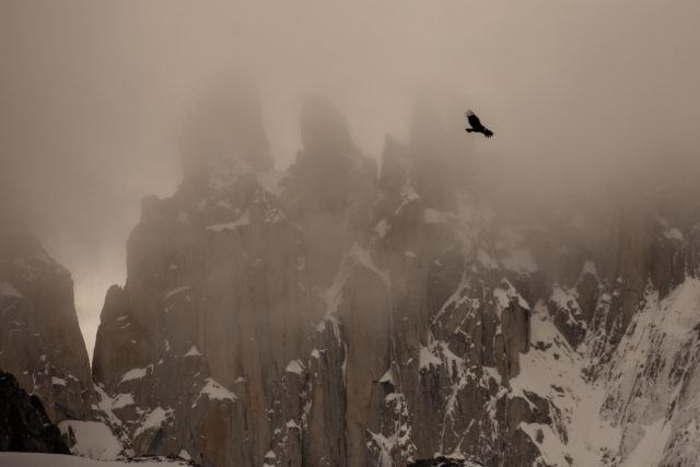 AD__2971-condor-fitz-roy-patagonie