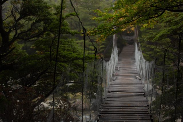 <p>Patagonie - Trek du W</p>
