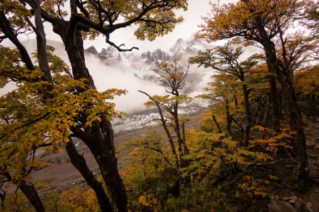 <p>Patagonie - Vall&eacute;e des fran&ccedil;ais</p>
