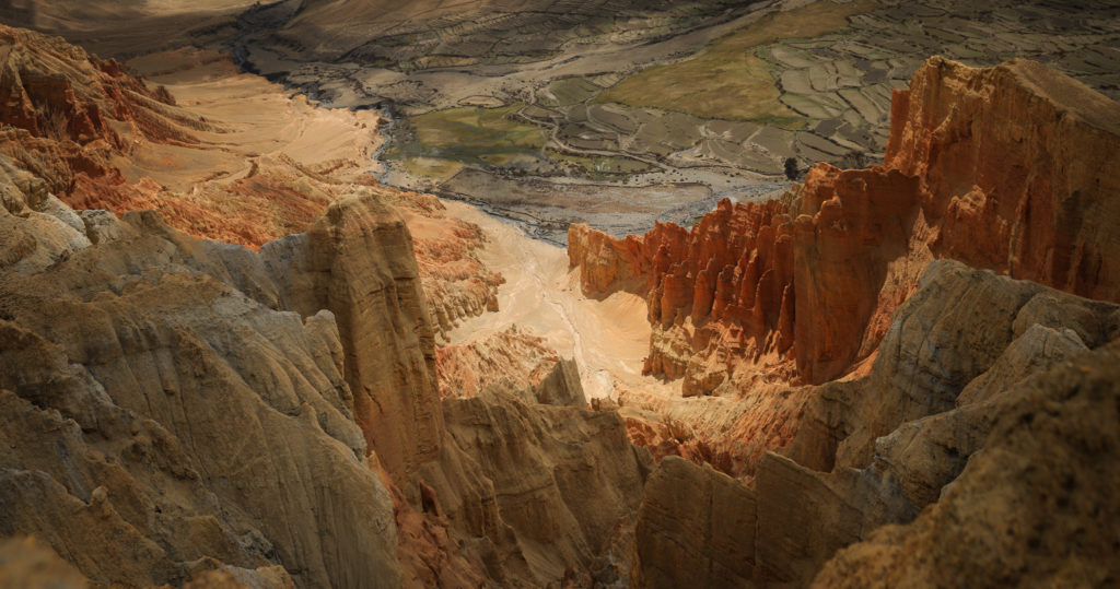 Mustang_8134_AD4_8155-22i