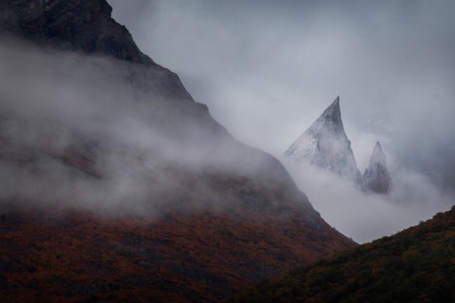 <p>Patagonie - Aleta de tiburon</p>
